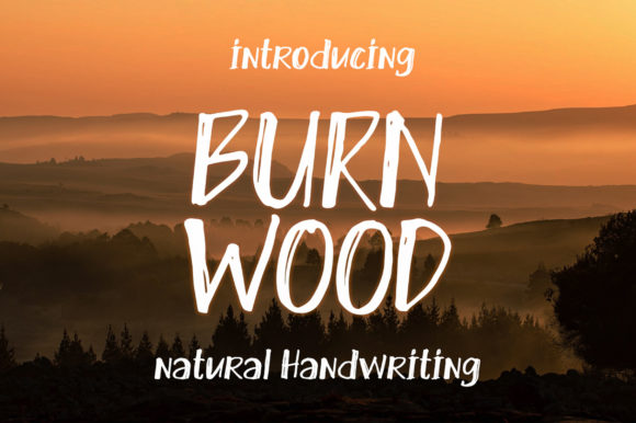 Burn Wood Font Review for Branding Projects
