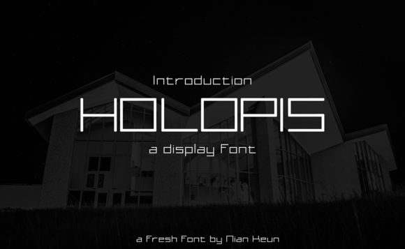 How Holopis Transformed My Branding Project